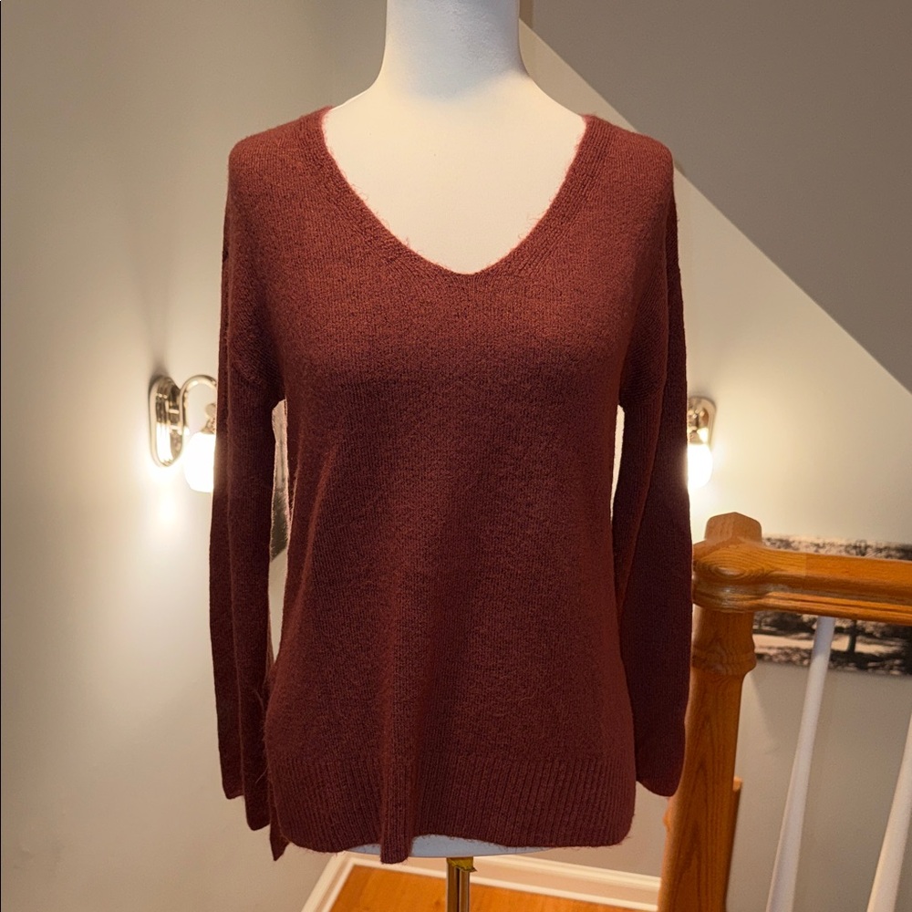 Express Mauve V-Neck Sweater